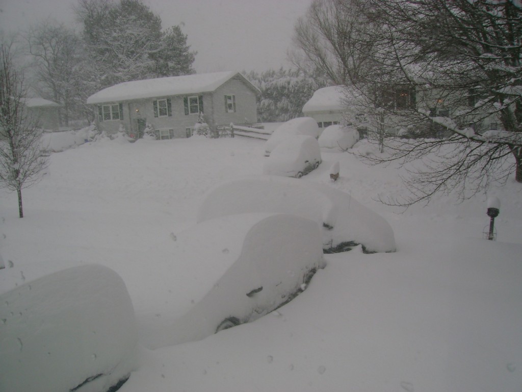 The 2010 Blizzard